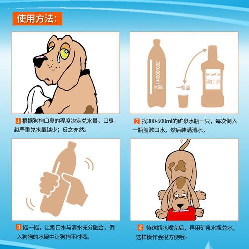 宠恩源漱口水 轻松还你一只口气清新的毛孩子